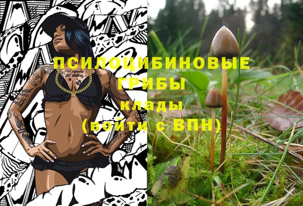 прущий лед Зеленодольск