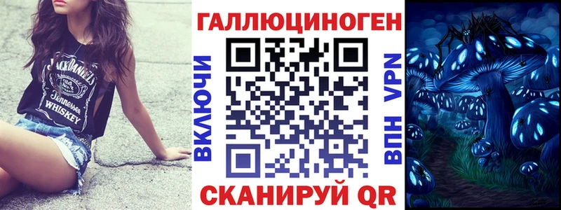 купить  сайты  Шали  Галлюциногенные грибы мицелий 